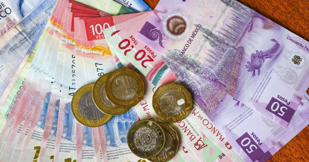 Encuentra ASF anomalías por 5.1 mil millones de pesos en gasto de 2024