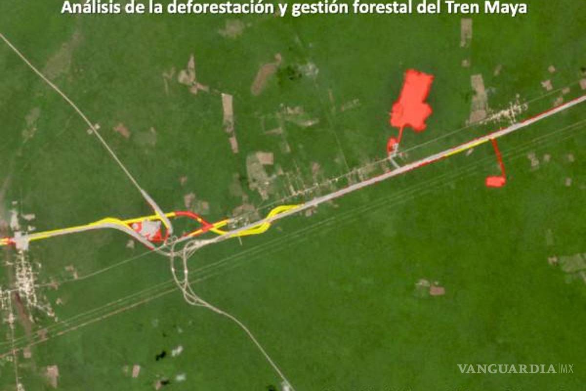 $!En amarillo la deforestación con autorización de Semarnat. En rojo la deforestación sin autorización. Fuente: CartoCrítica.