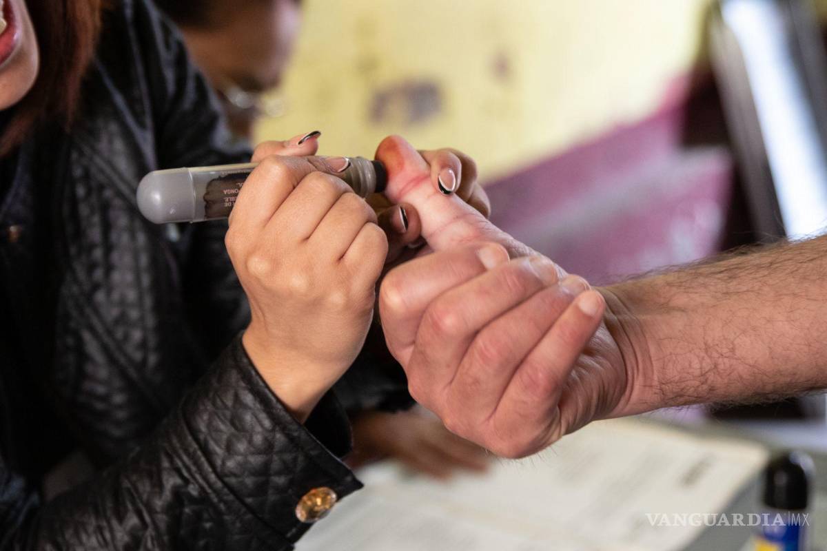 Reforma electoral: Por una ley para la democracia inclusiva