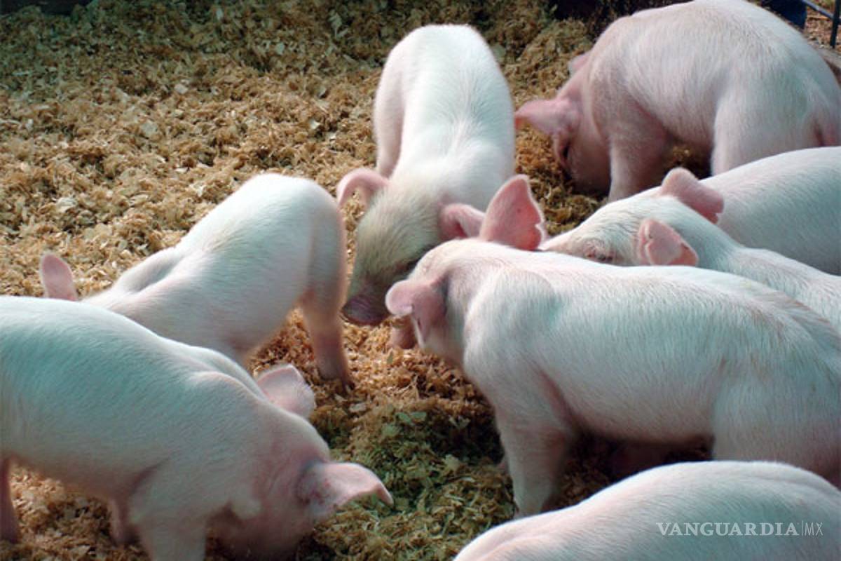 Productores de EU ya pierden por disputa comercial de Trump