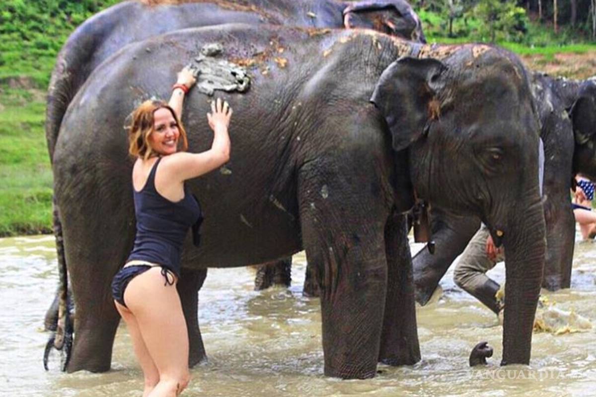 Andrea Legarreta posa con sexy bikini junto a un gran elefante durante sus vacaciones