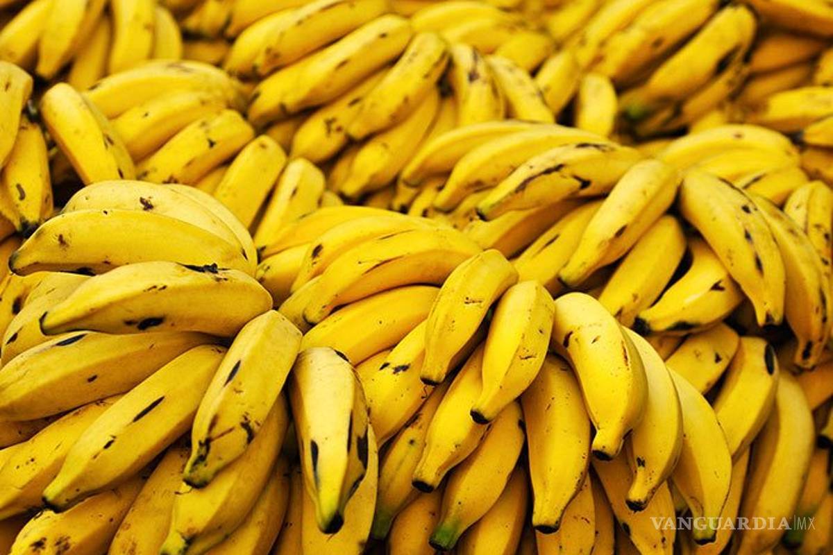 $!El café, chocolate, jarabe de maple y otros ingredientes desaparecerían por el cambio climático