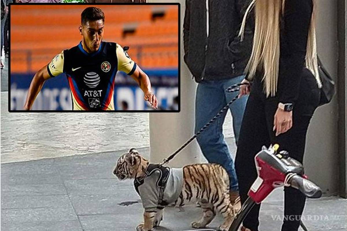 Mujer que paseó Tigre es pareja de futbolista del América