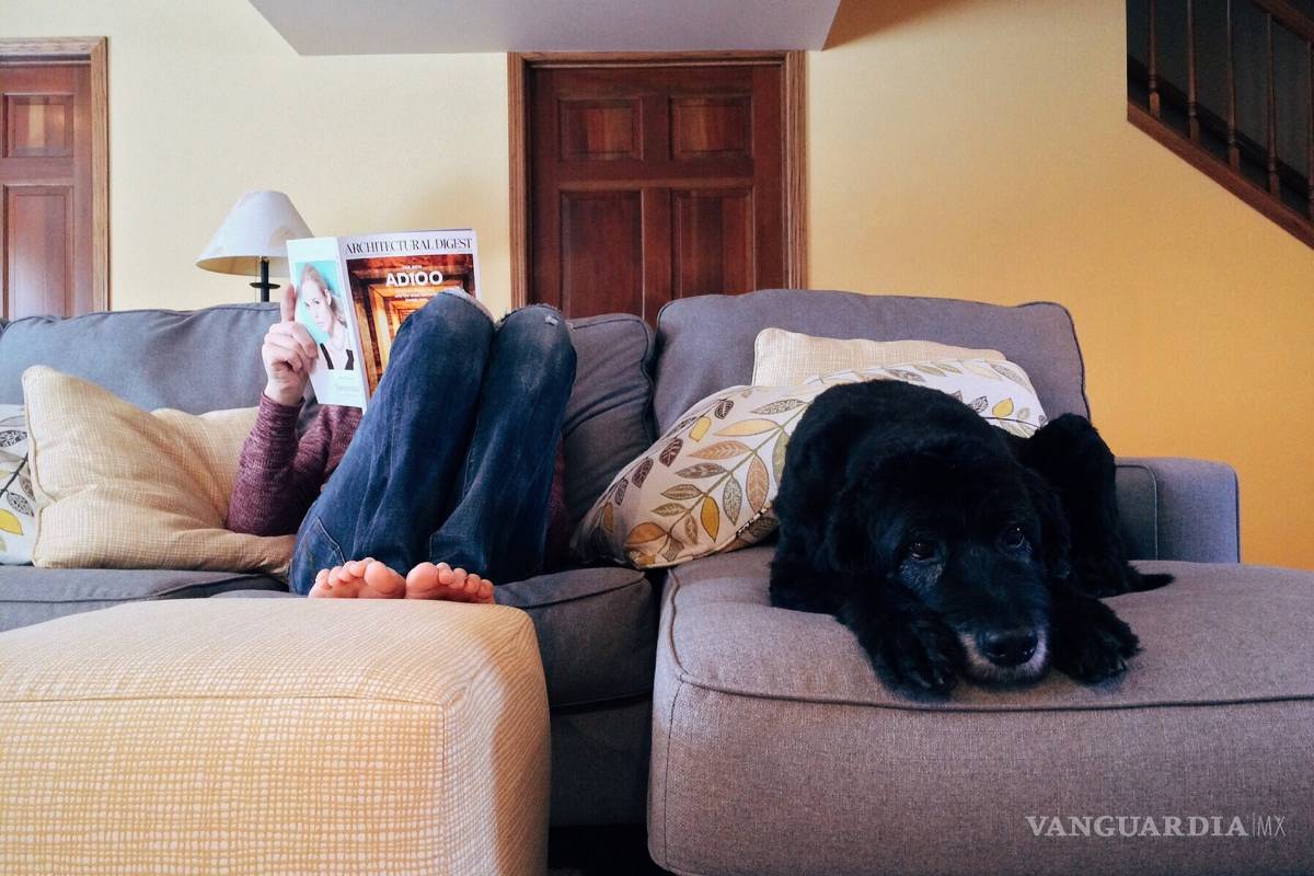 ¿Prefieres quedarte en casa a salir? Un estudio asegura que eres más inteligente