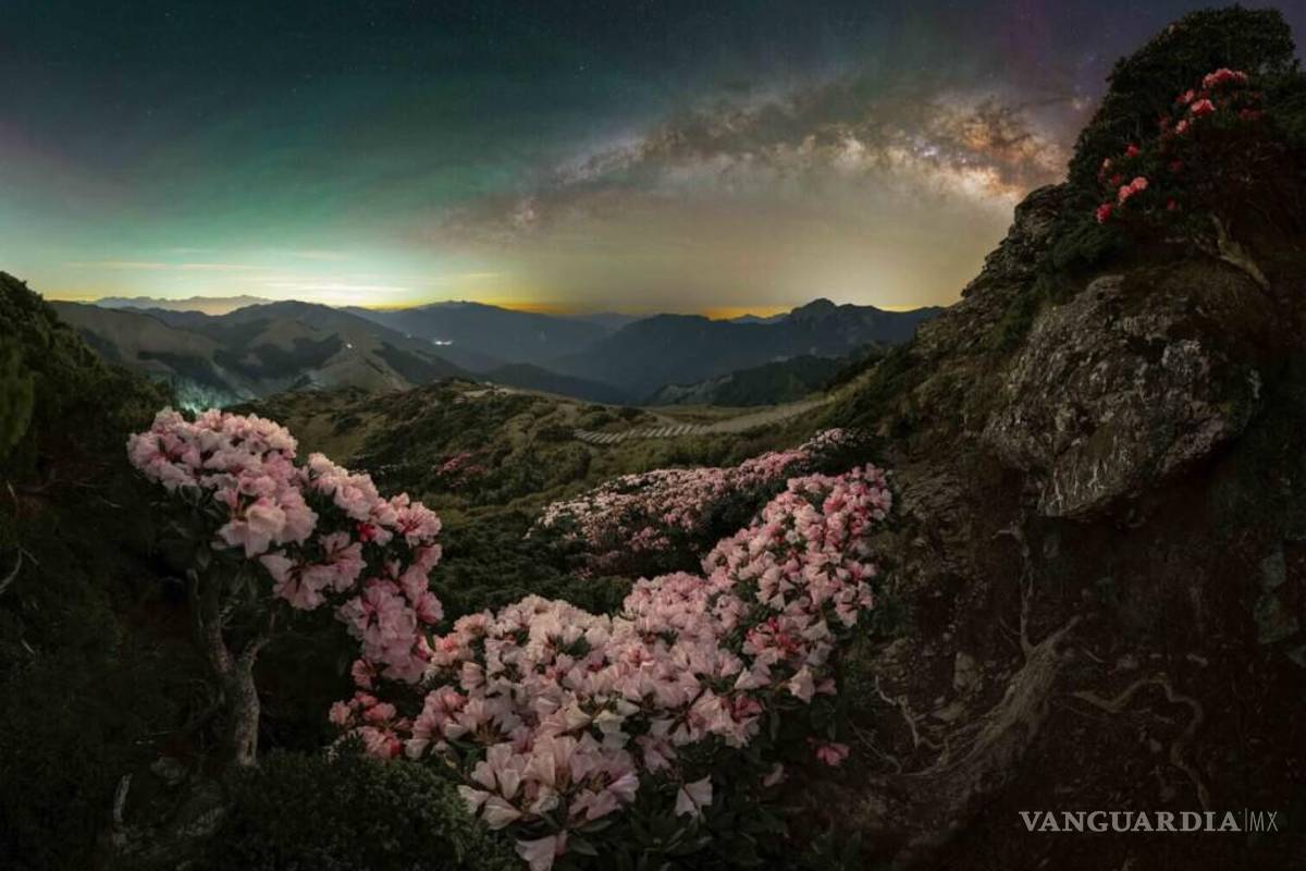 Mira las asombrosas imágenes de la octava edición las mejores imágenes de la Vía Láctea