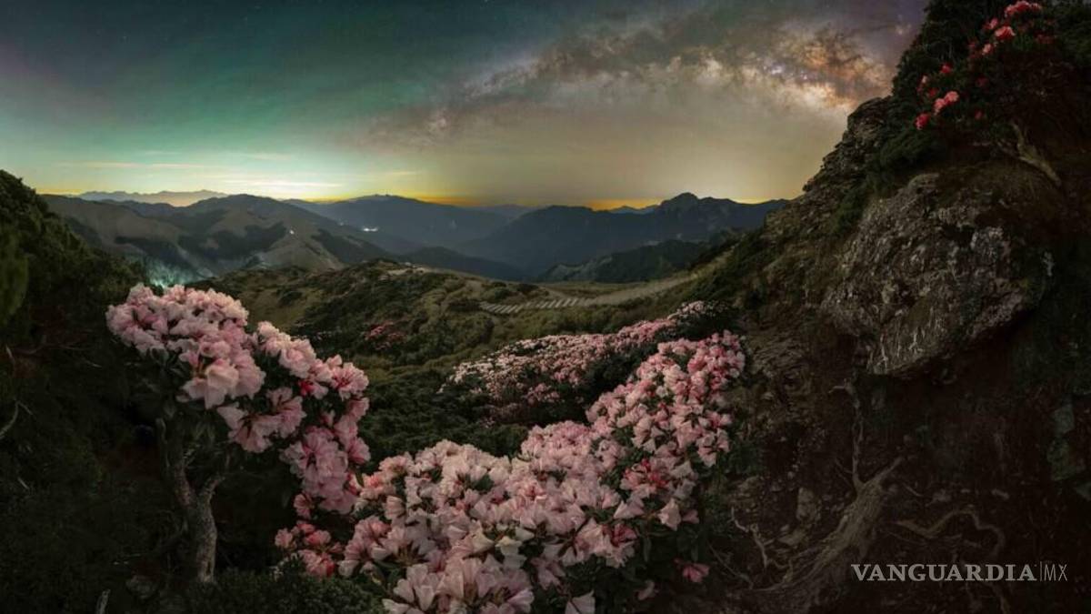 Mira las asombrosas imágenes de la octava edición las mejores imágenes de la Vía Láctea