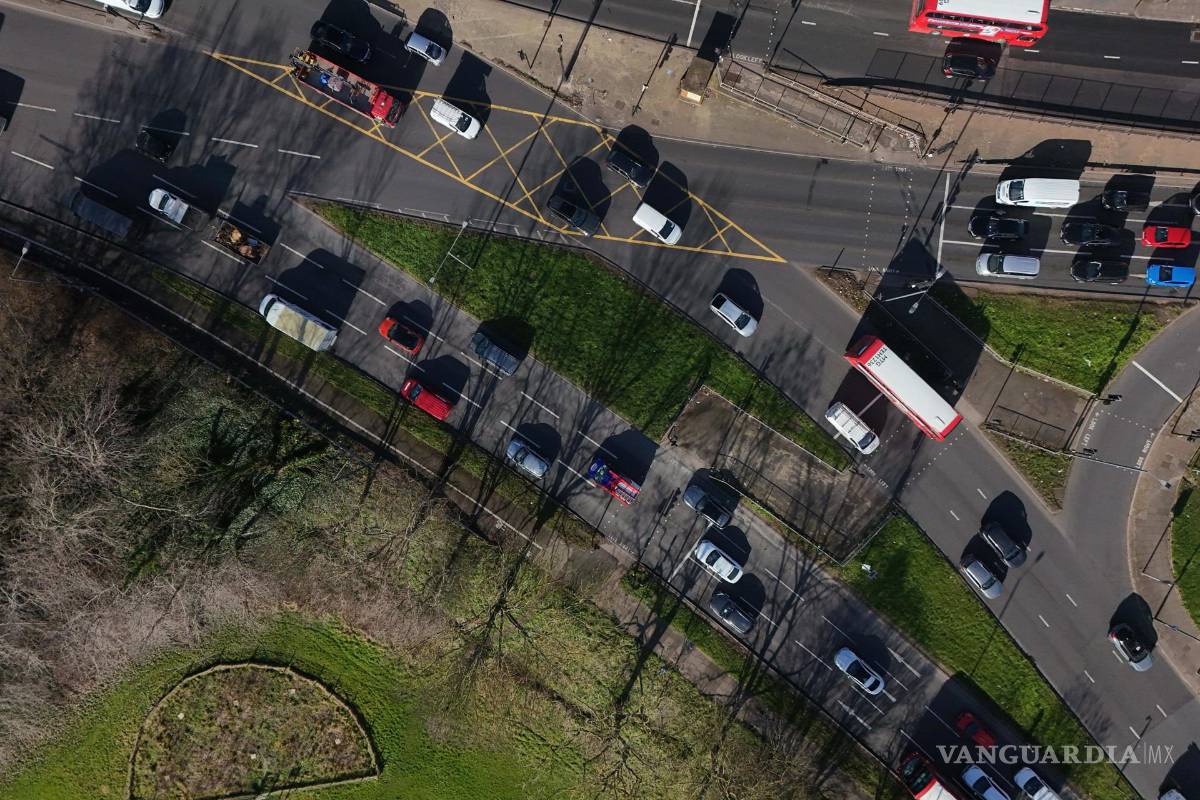 ‘Tiny Forests’, bosques urbanos que buscan ser una solución verde para oxigenar las grandes ciudades