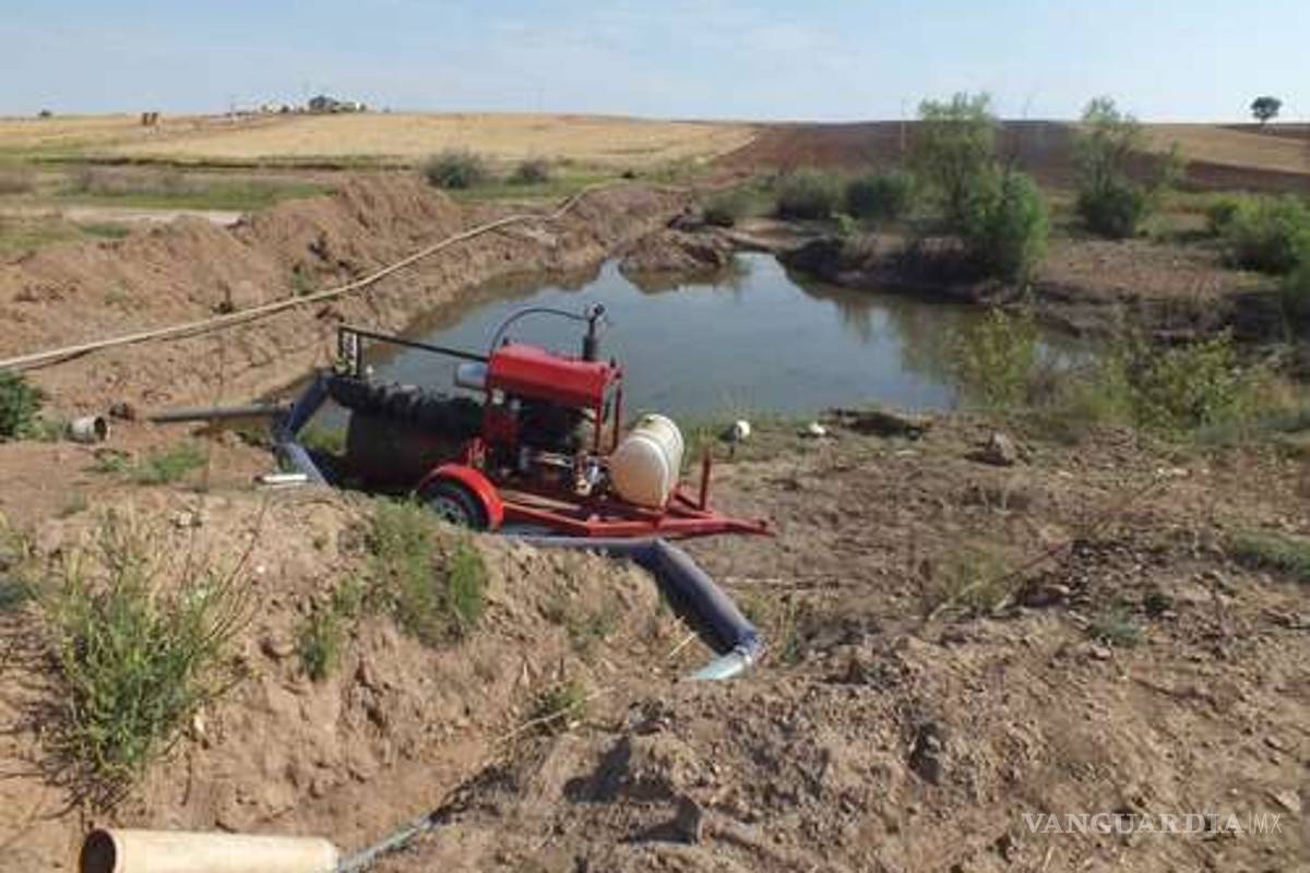 Acusan a la Sagarpa y CFE de solapar negocios de la familia LeBarón