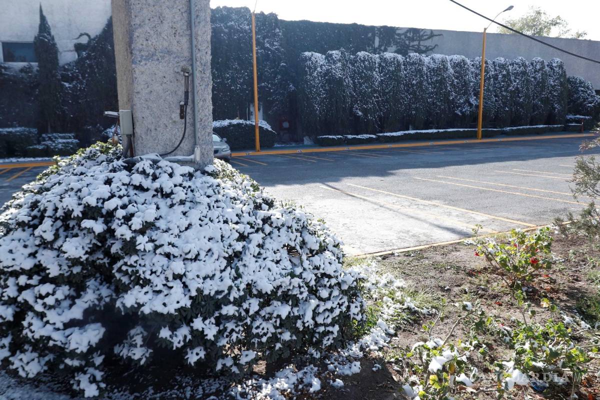 Continuará onda gélida sobre Coahuila; hasta el miércoles habrá cambios en el clima