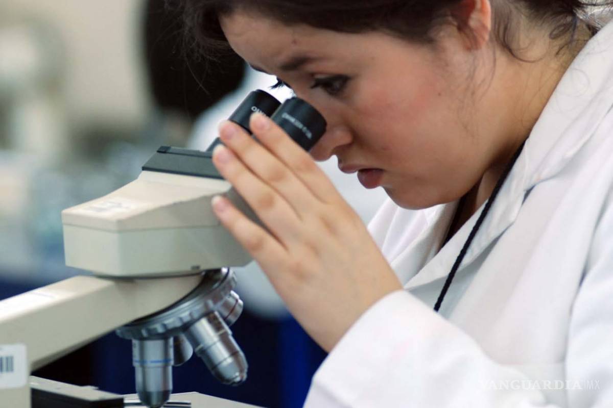 Se triplica la cifra de científicas en el País