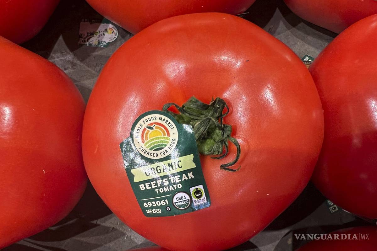 Se avecina un arancel sobre tomates mexicanos; hay preocupación por parte de productores y empresarios