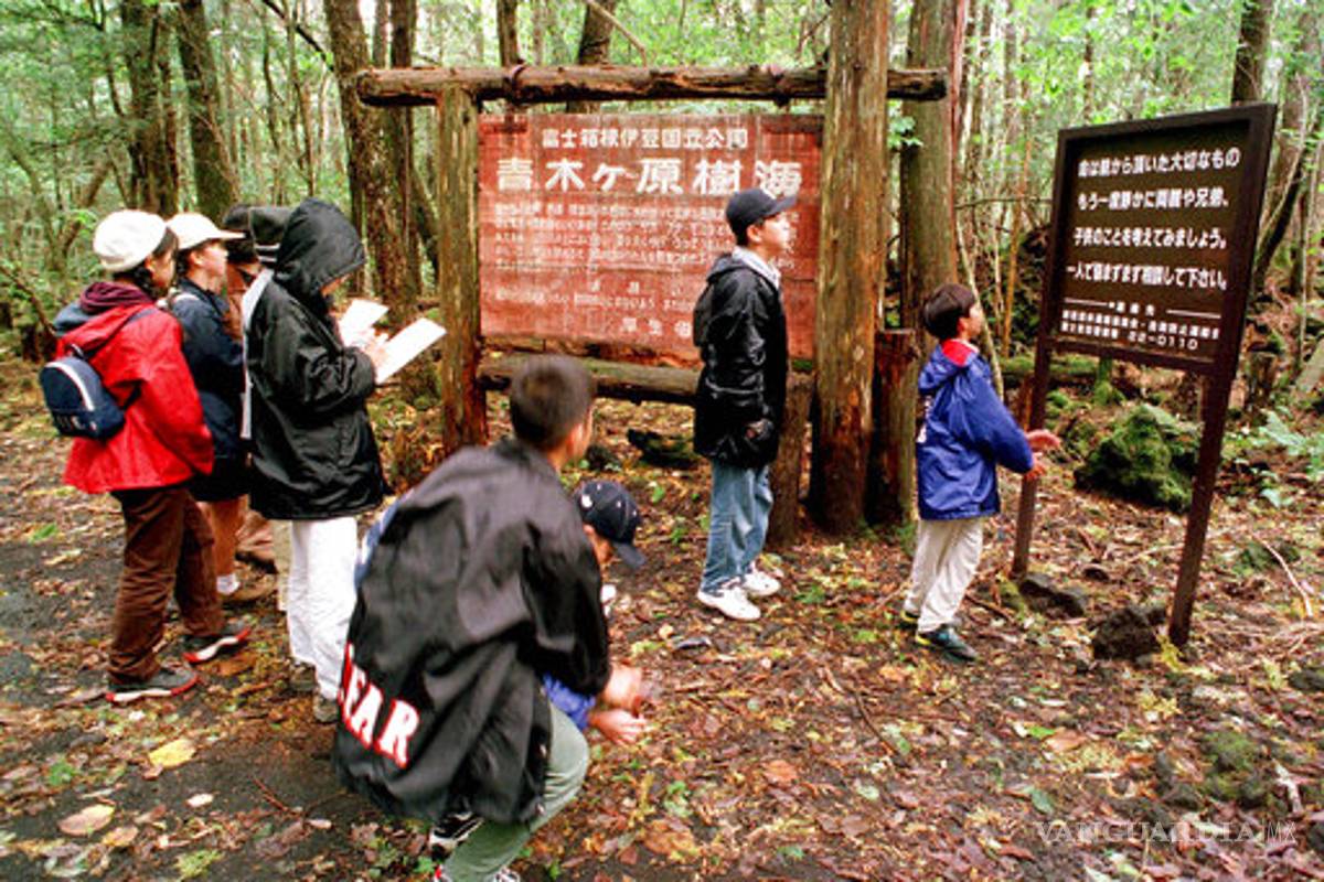 Logan Paul se disculpa por video con suicida en Japón