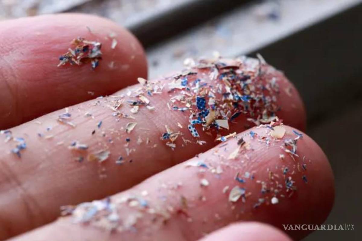 Comemos el plástico equivalente a una tarjeta de crédito a la semana, y nos está matando el intestino