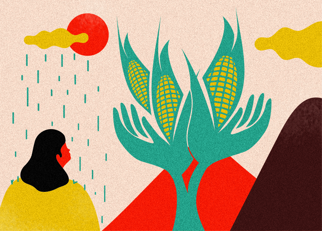 Hermanamiento en la tierra del maíz