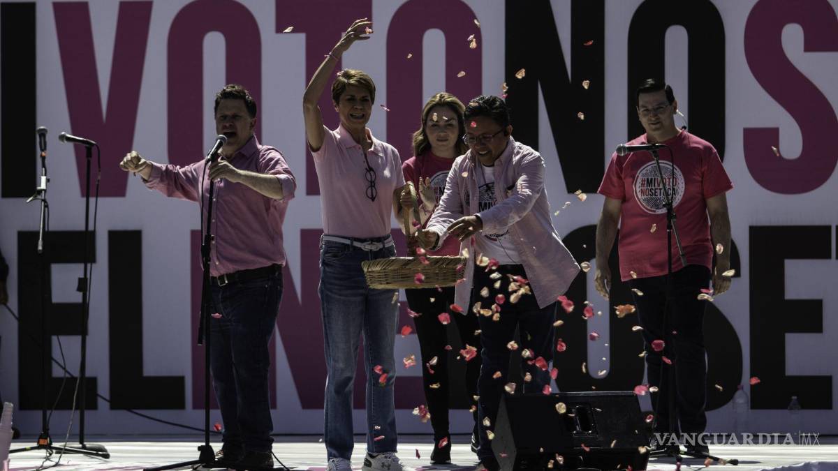 Así toman las calles y plazas miles de mexicanos para defender al INE (Fotos)