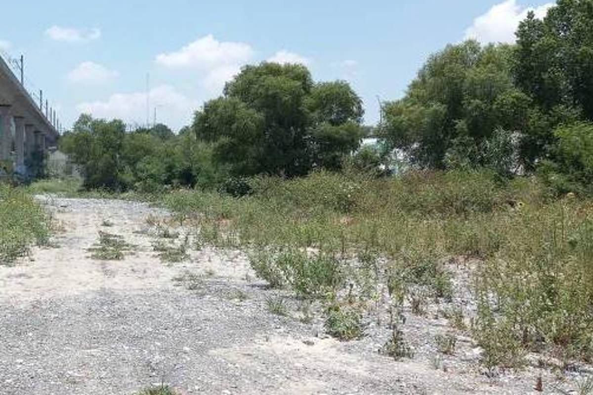 Deforestan lecho del río Santa Catarina; ciudadanos, ambientalistas y ecologistas protestan