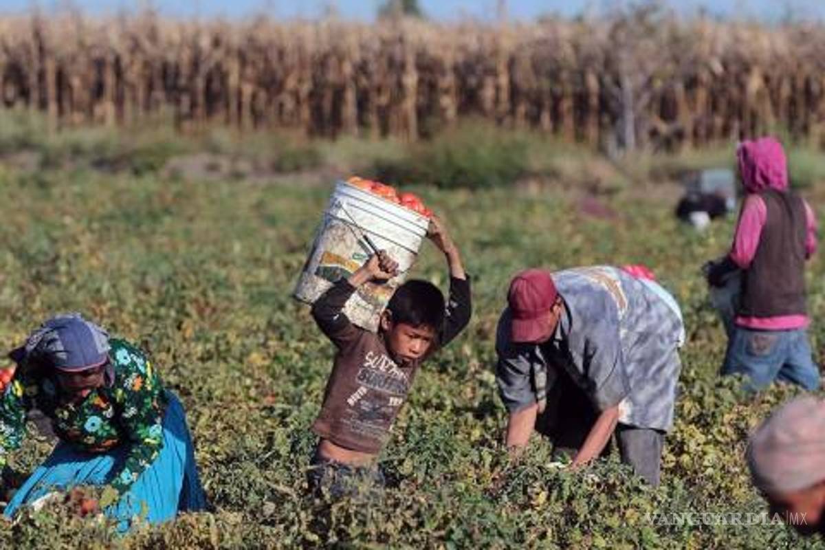 La SADER elimina programas con los que se desviaron recursos, pero crea nuevos sin reglas de operación claras