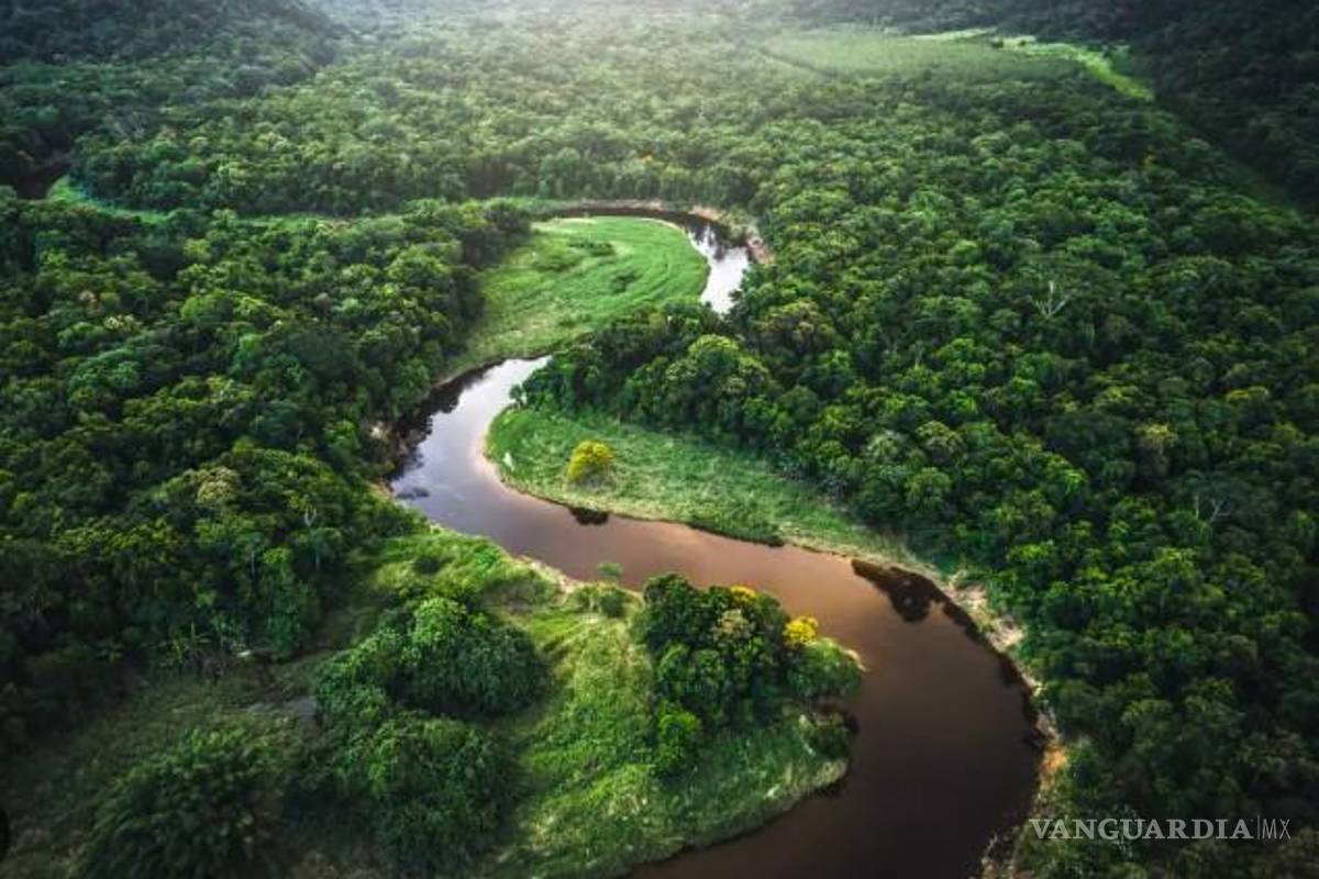 México, tercer lugar en homicidios de ambientalistas: ONG