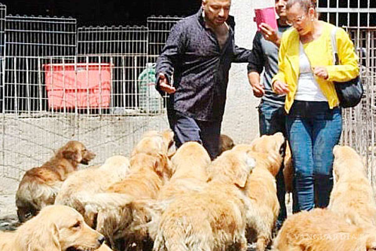 Rescatan a 38 perros de un criadero clandestino en Iztapalapa