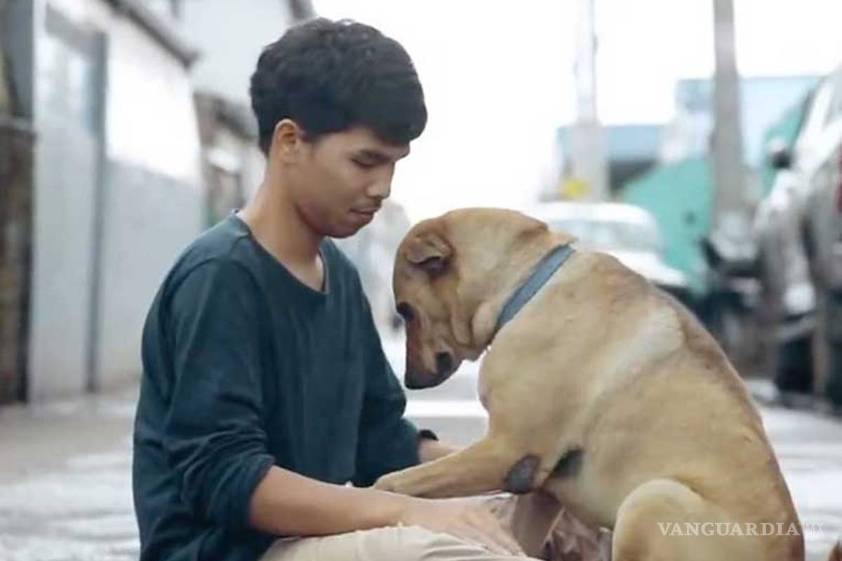 Joven da a perros callejeros su 'primer abrazo' y así reaccionan