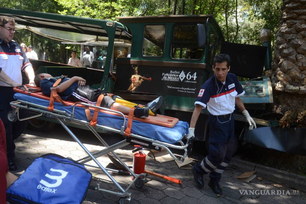 Trenecito de Chapultepec se estrella contra una palmera, 14 resultan heridos
