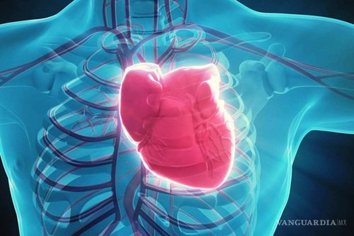 ¿Qué es un soplo de corazón? Síntomas y tratamientos