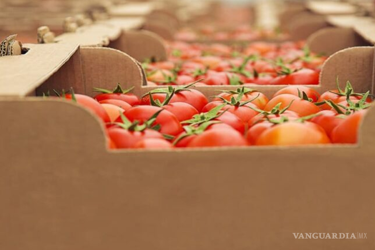 Balanza agroalimentaria mexicana logra superávit de 4 mil 890 mdd de enero a mayo