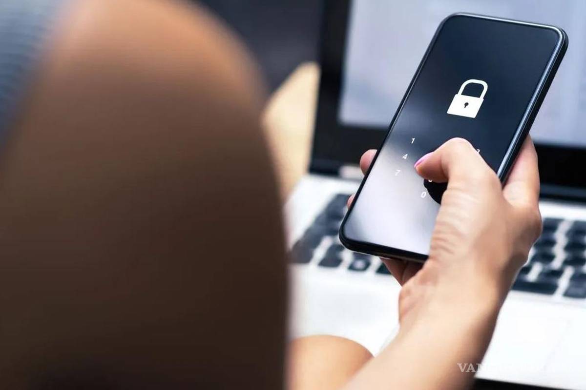 Anciana perdió más de 1 millón de dólares en ciberfraude; hay más de 200 detenidos