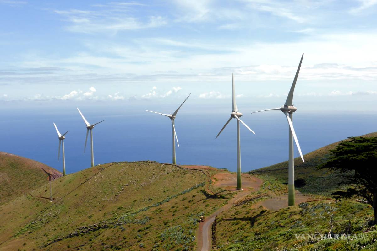 Revisará CFE contratos de 5 parques eólicos; renegociará precios con operadores