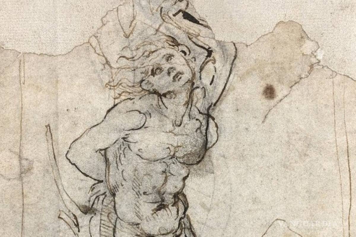 Muestran dibujo inédito de Da Vinci