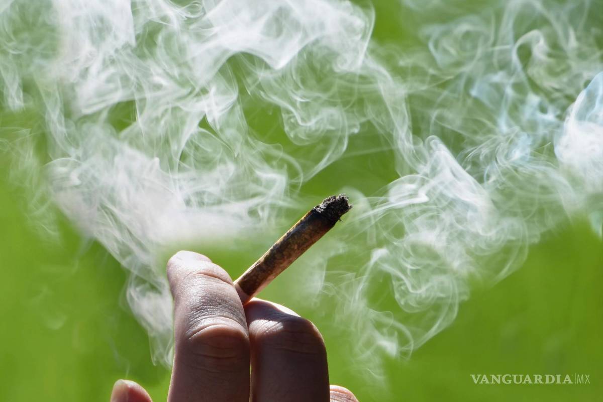 Empresas de cannabis podrán anunciarse en Twitter, con algunas restricciones