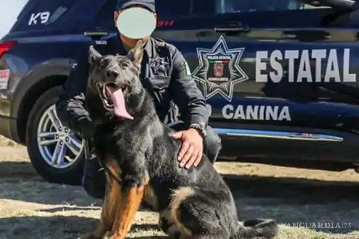 Perrita policía murió tras estar encerrada horas en patrulla