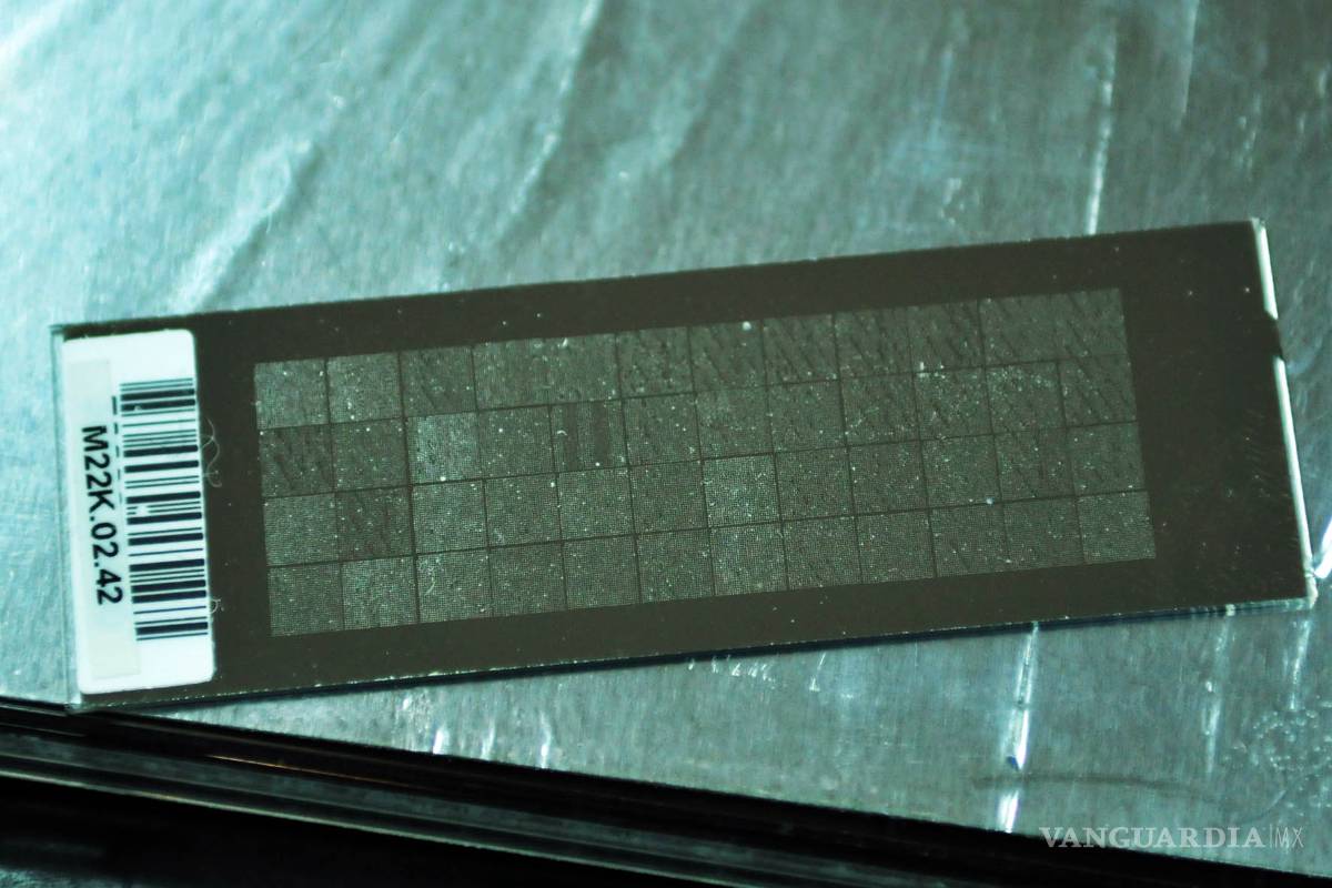 UNAM crea ‘chips de ADN’ para detectar microorganismos nocivos