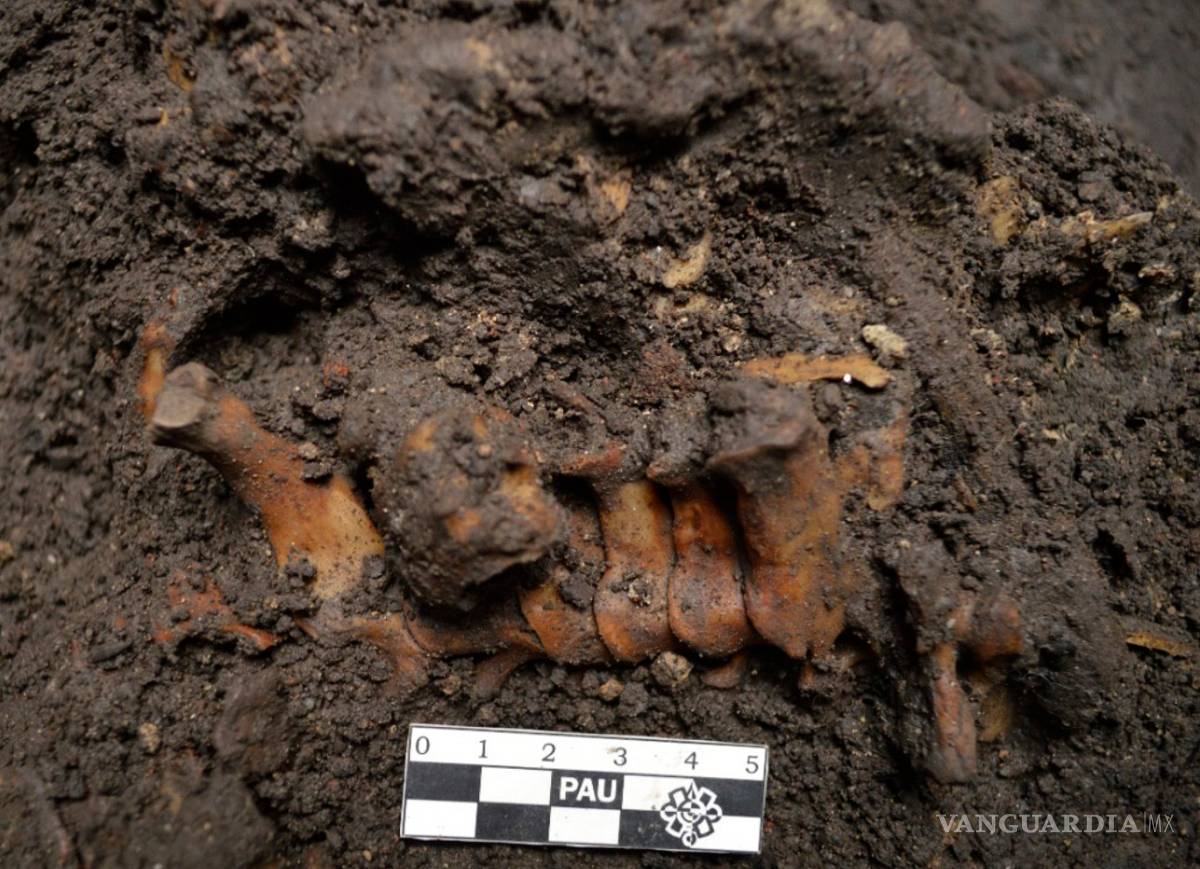 $!Encuentran restos de principal cancha de juego de pelota de Tenochtitlan