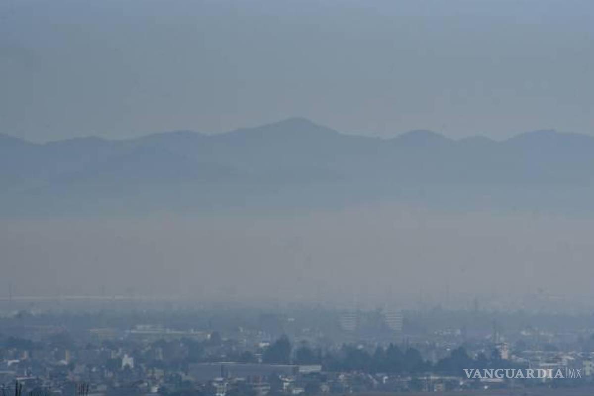$!En lo que va del año, la gran mayoría de los días se ha reportado al menos una mala calidad del aire.