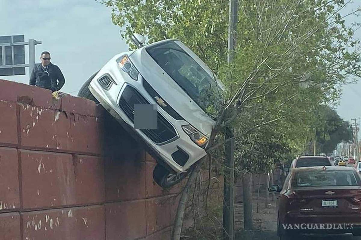 Pierde el control y árbol la salva de volcarse en Saltillo; asegura le dieron ‘cerrón’