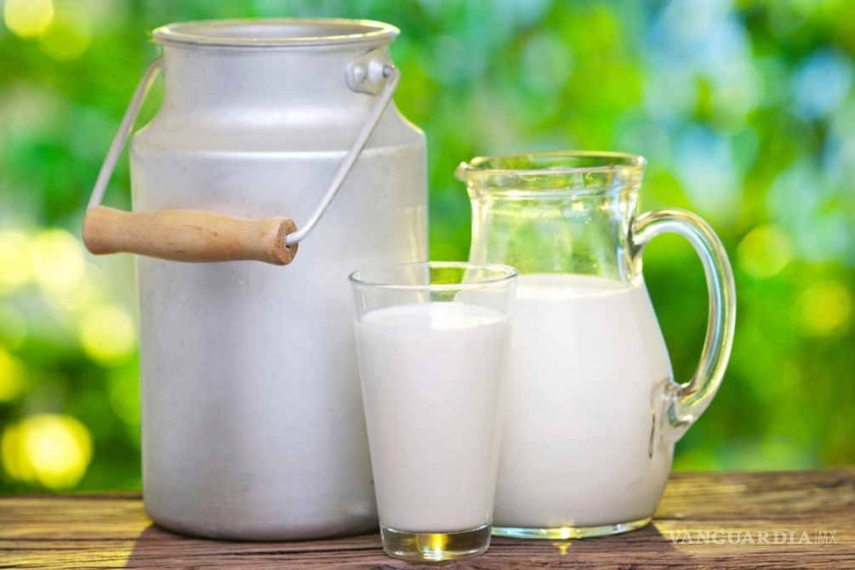 Demandan productores de leche salir del TLCAN antes de ser eliminados por competencia desleal