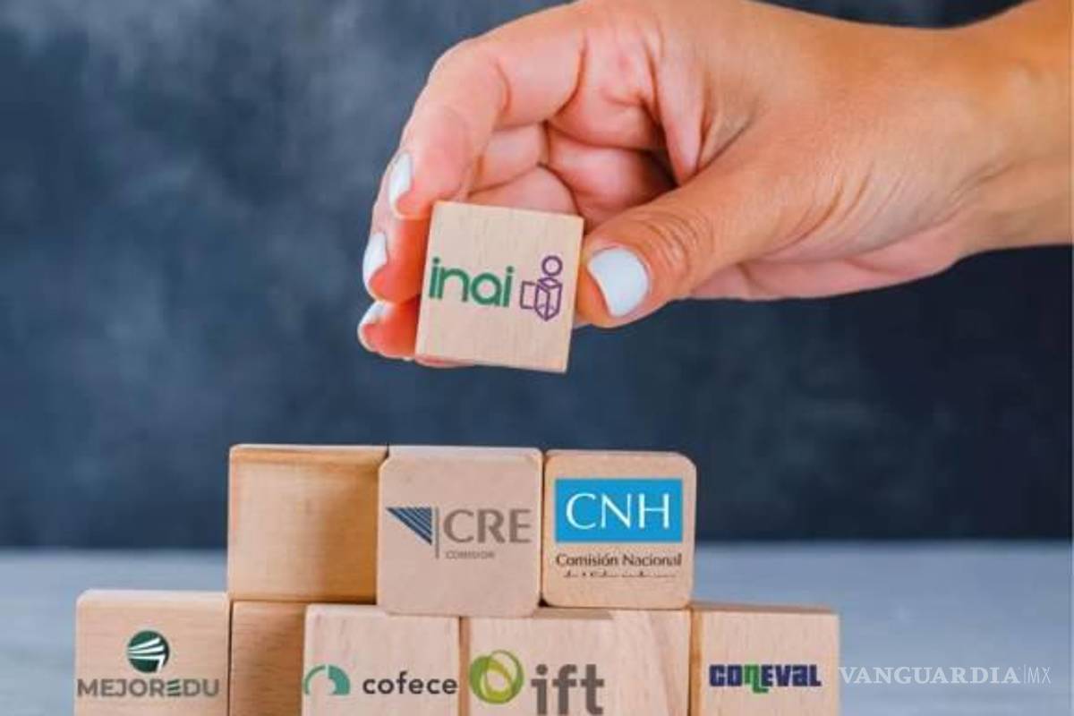 Cámara de Diputados declara constitucional la extinción de organismos autónomos