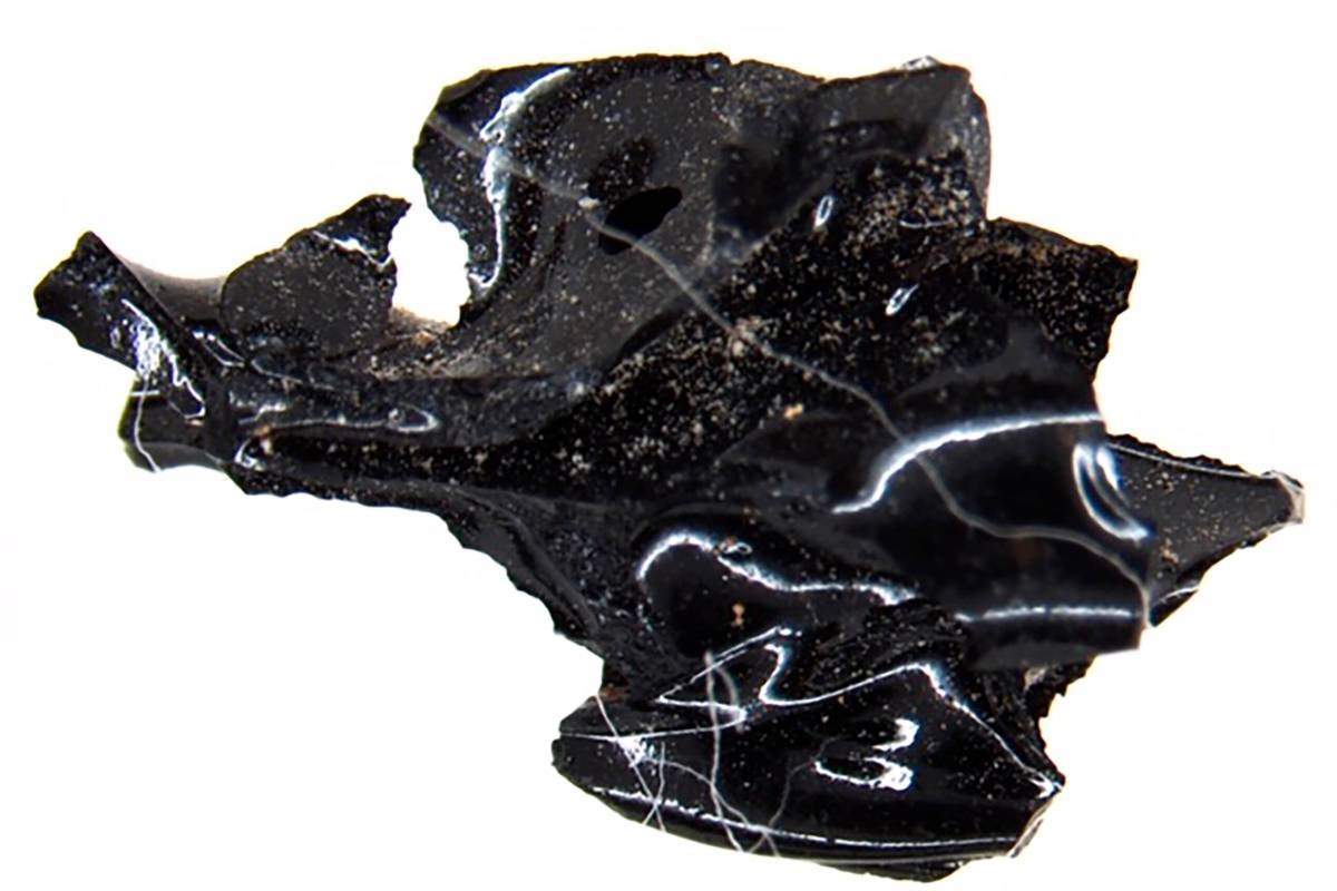 Encuentran por primera vez en Pompeya un cerebro vitrificado por la erupción del Vesubio