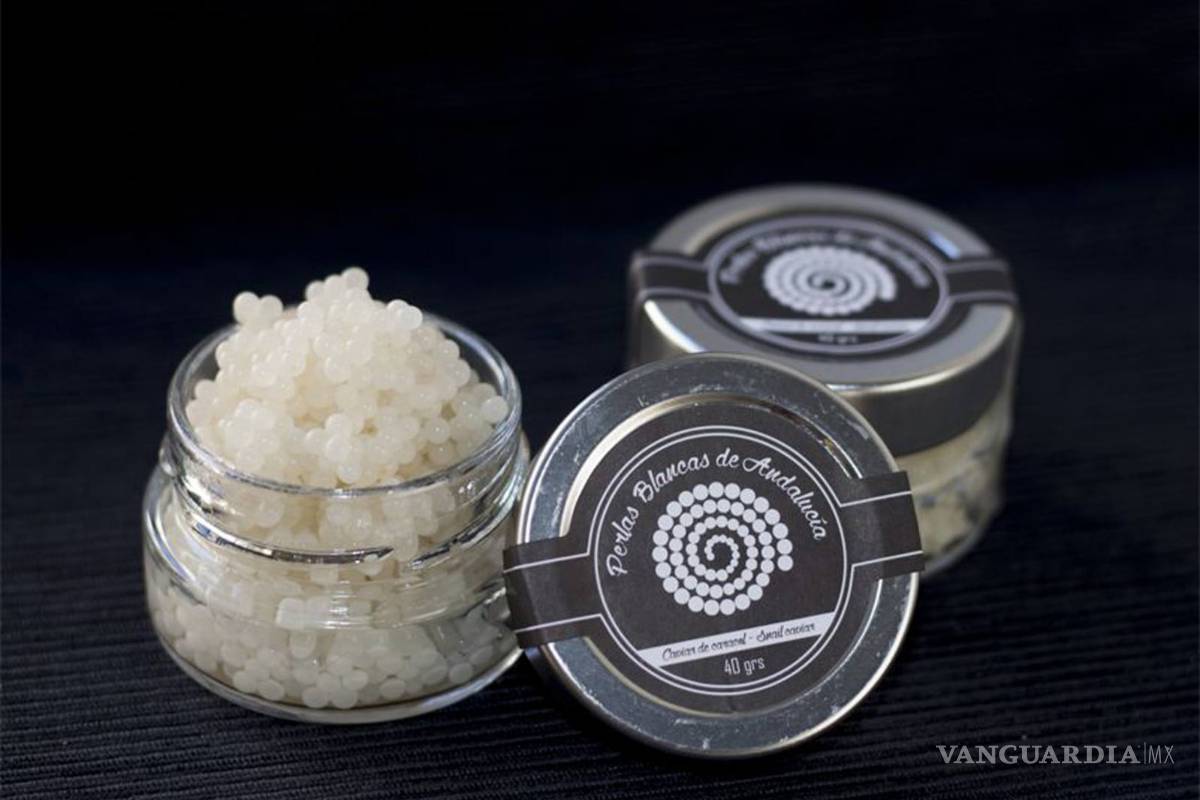 Huevas de caracol, el &quot;caviar blanco&quot;