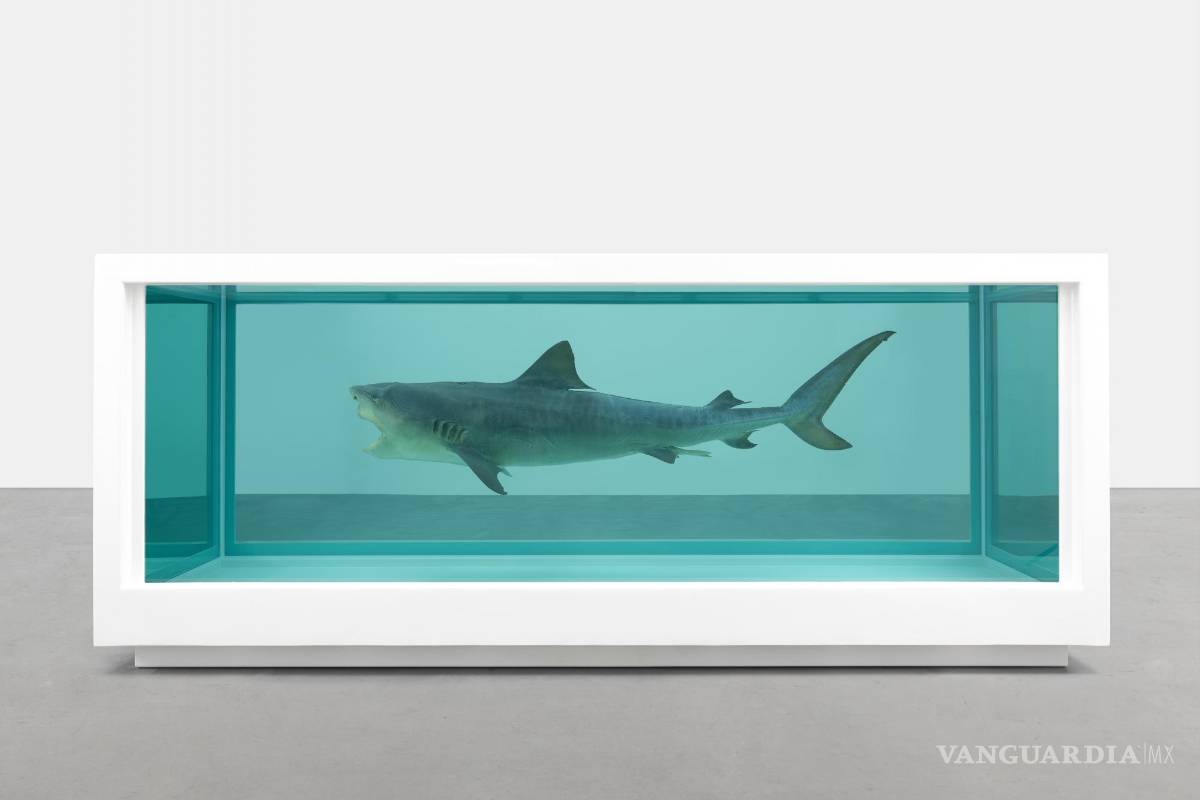Entre mantos de moscas muertas y animales disecados llega Damien Hirst al Museo Jumex