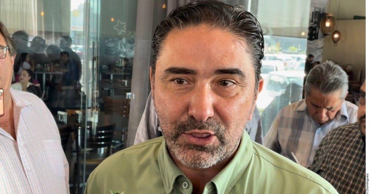 Denuncian por violencia política a líder estatal de Tamaulipas de PVEM