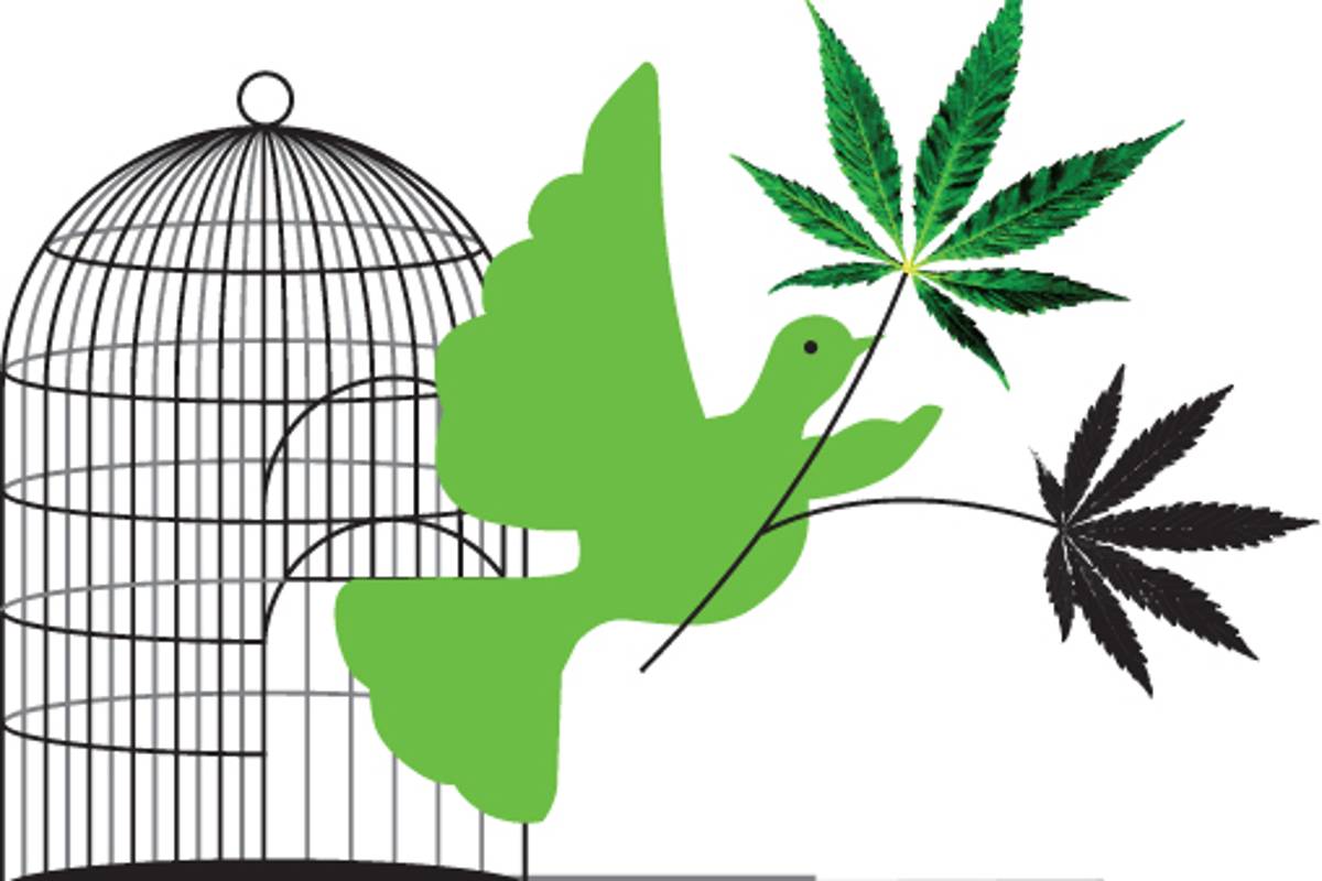 Mariguana: a un 'pase' de la legalización