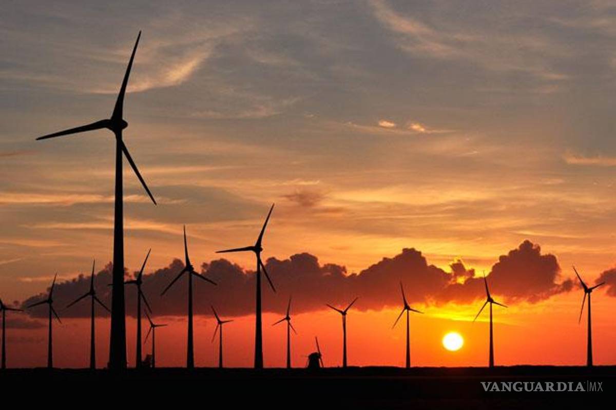 Corrupción merodea parque Eólico de Oaxaca