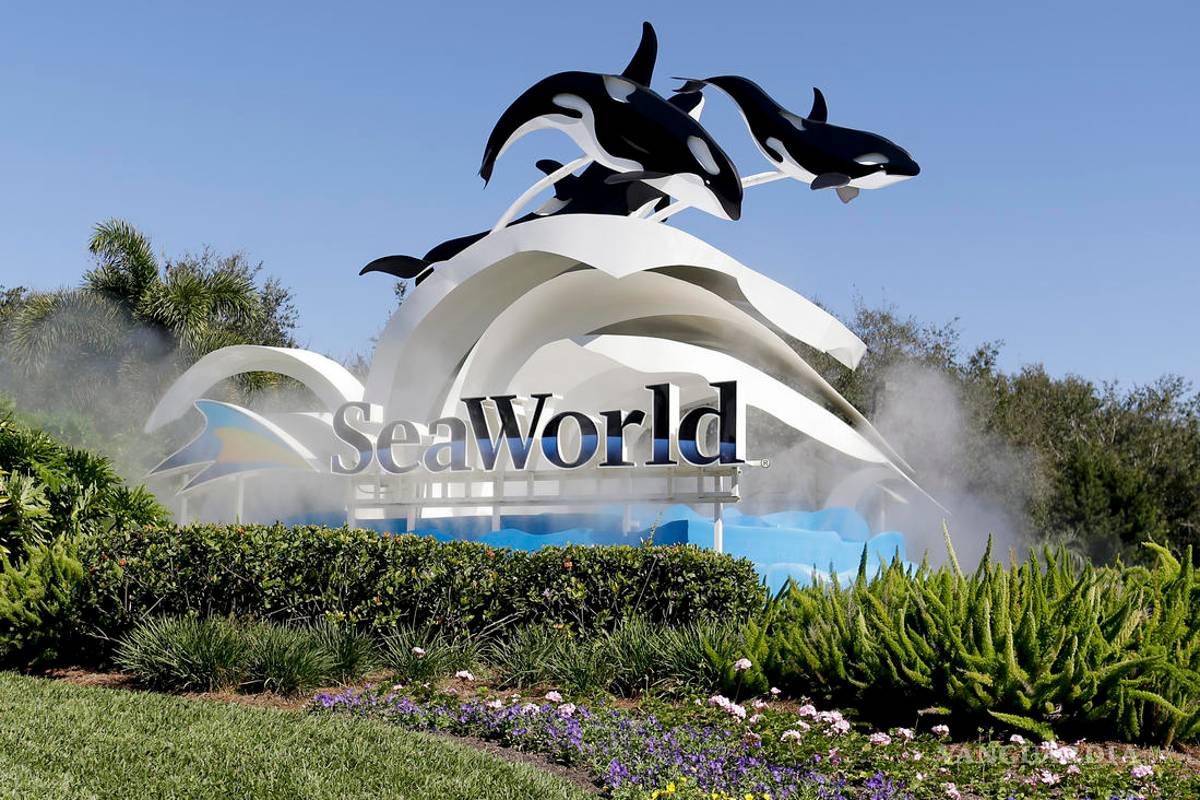 Multa millonaria para SeaWorld por ocultar impacto negativo del documental &quot;Blackfish&quot;