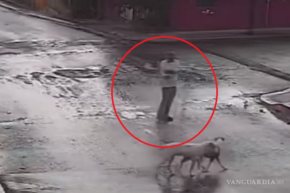 Sujeto disparó contra cuatro perros en Puebla (video)