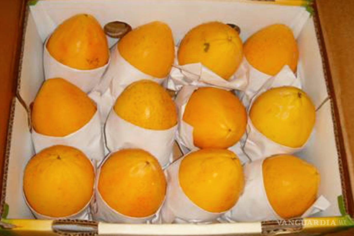 Reclama Sader freno a exportaciones de papaya a EU ante caso de salmonella