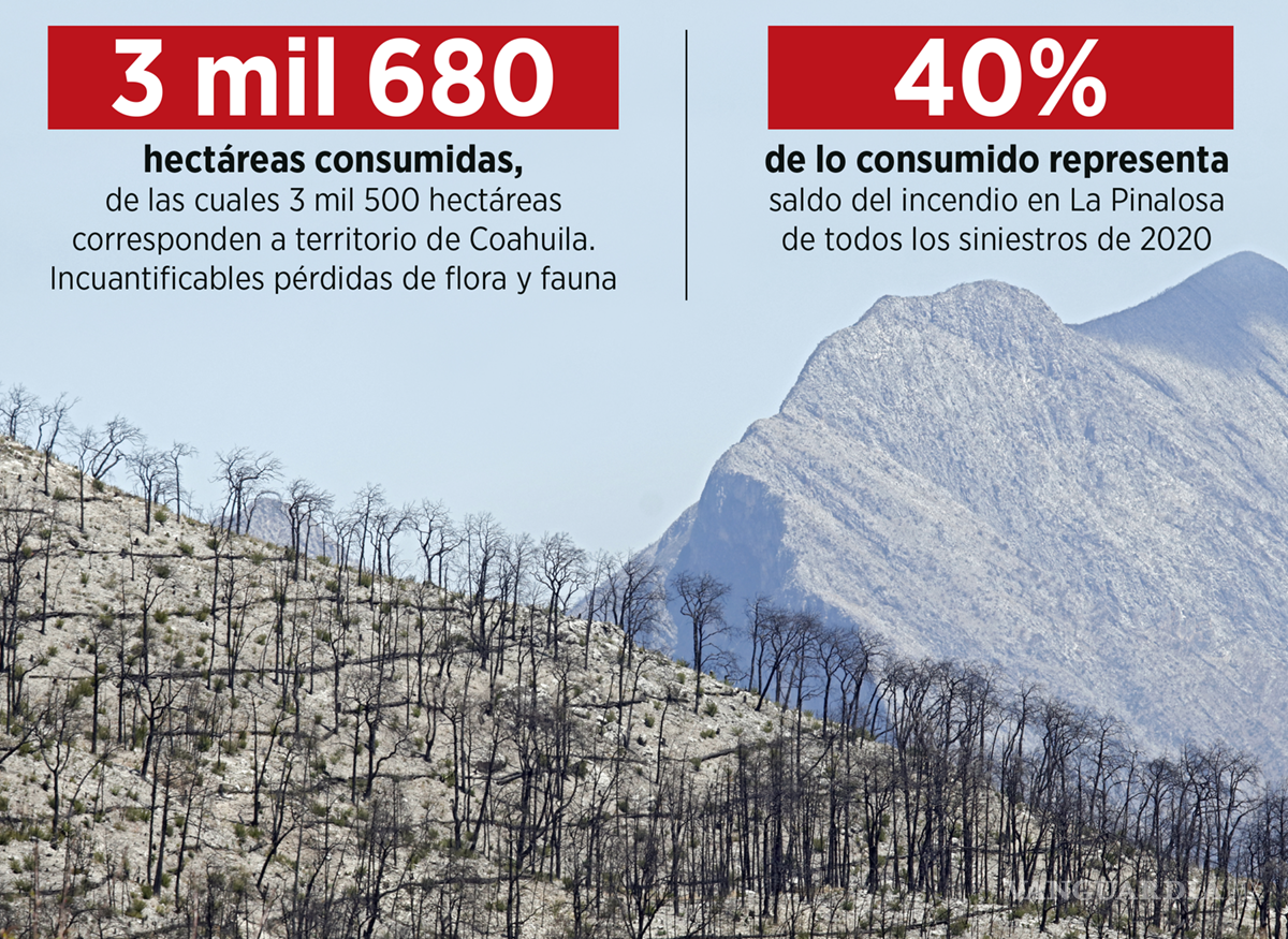 $!Hasta 40% de lo consumido representa saldo del incendio en La Pinalosa de todos los siniestros de 2020.
