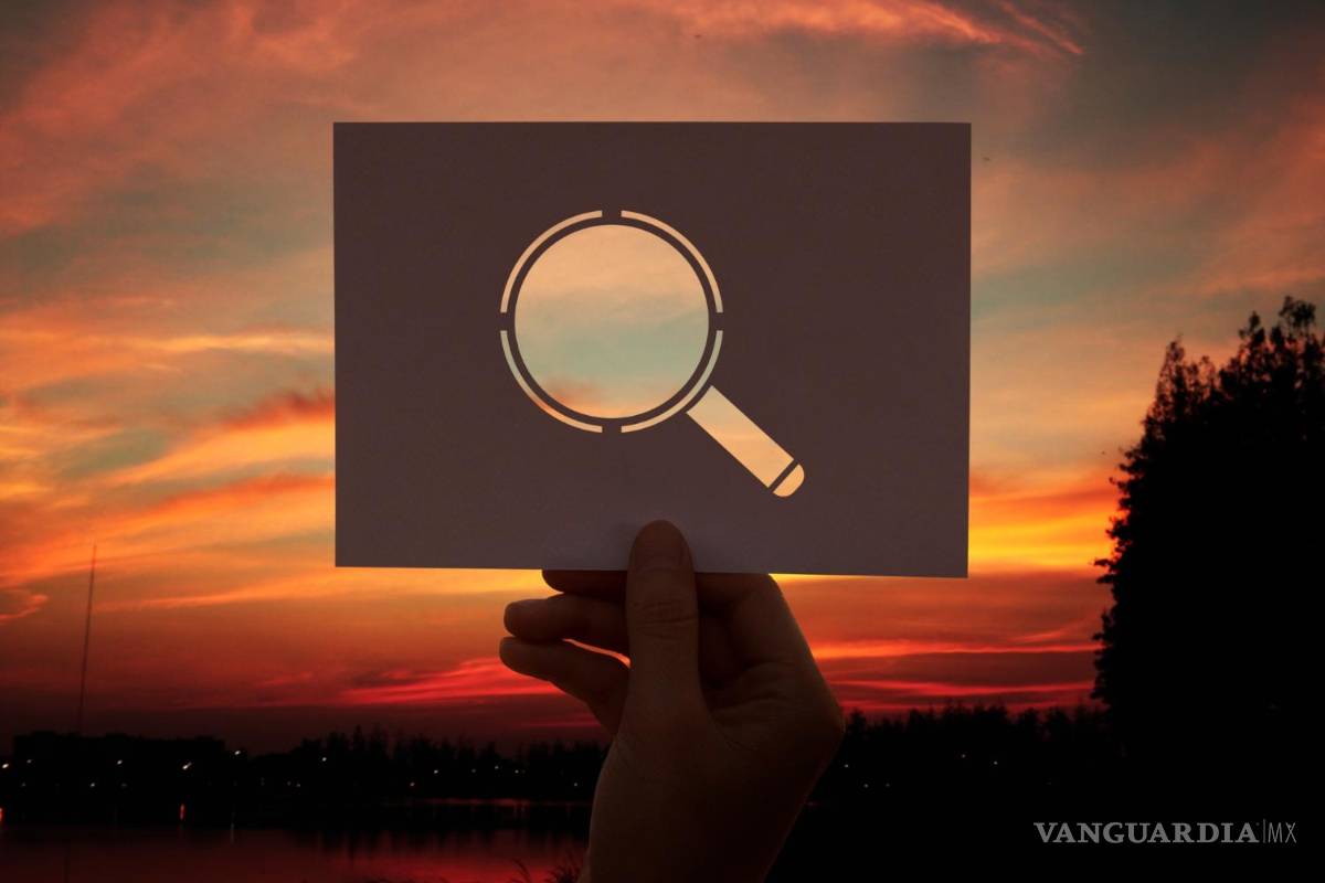 En este mundo salvaje