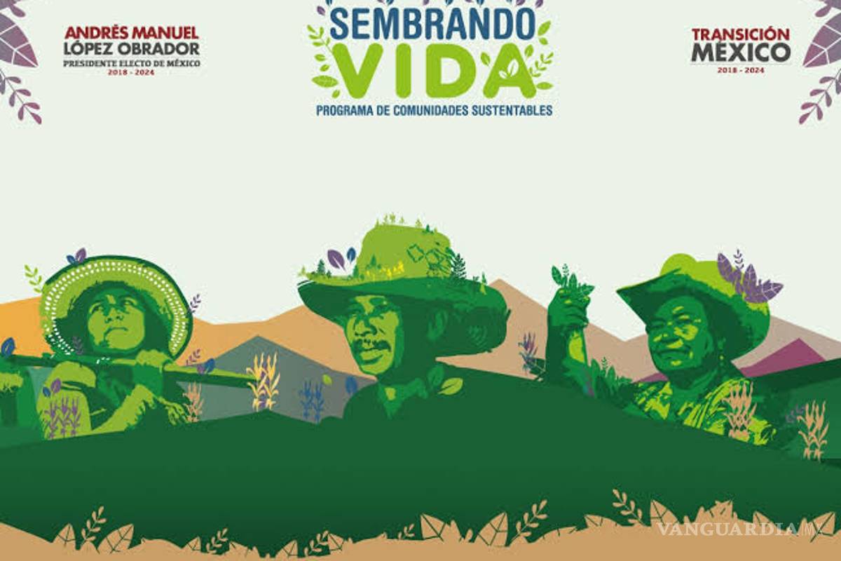 $!Jóvenes Construyendo el Futuro con menos presupuesto; becas, adultos mayores y Sembrando Vida 'ganan'